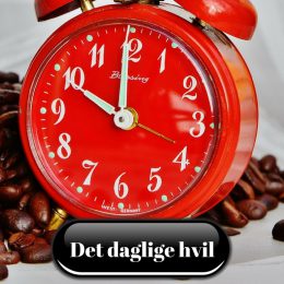 Det daglige hvil